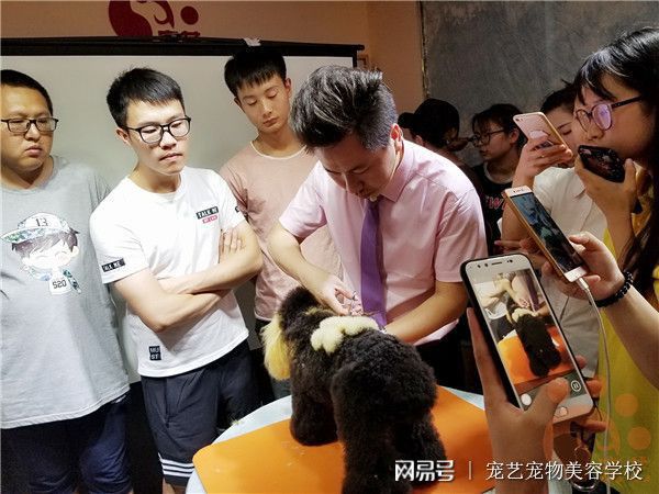 M6米乐手机登录APP入口吉利汽车保养手册汽车美容美容师证书要多少钱学宠物美容师