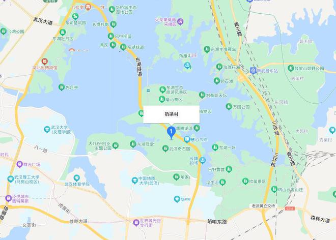 M6米乐APP,武汉市东湖景区一栋独栋大别墅拍卖被人捡漏4307688万买下
